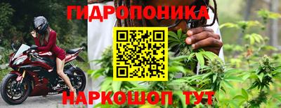 сатива Бузулук